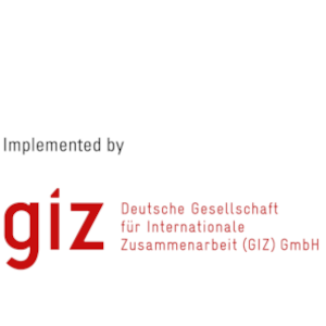 giz-2